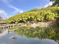 -忠山公园