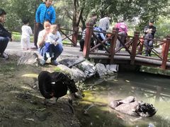 -北京麋鹿生态实验中心