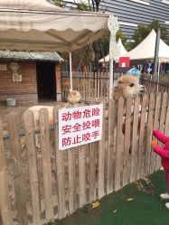 -萌宠亲子动物乐园(槐房万达店)