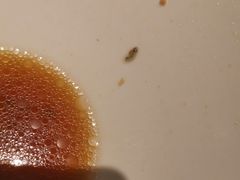 -松鹤楼·苏式汤面(虹桥天地店)