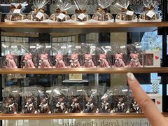 -Laderach 莱德拉(上海环贸iapm店)