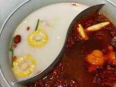 -青瓷火锅料理(西单大悦城店)