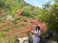 -木兰云雾山