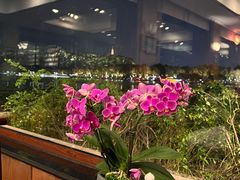 -湖畔居茶楼(湖滨店)