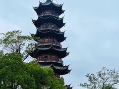 -龙华素斋(龙华路店)