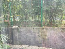 -馨月汇·一悦馨香月子中心(前滩店)