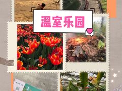 -南宫五洲植物乐园