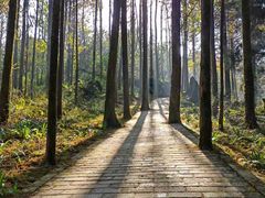 -山王坪喀斯特国家生态公园