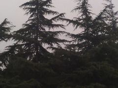 -铁道游击队纪念馆