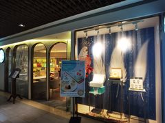 -燕庭·纯燕窝·甜品下午茶(南京西路店)