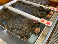 -南沙十九涌渔人码头-南门