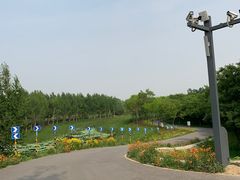 -东郊湿地公园