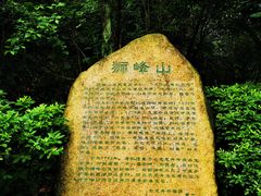 -龙井村
