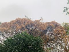 -庐山西海主景区
