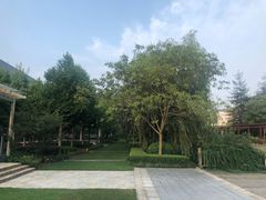 -上海浦东康桥绿地假日酒店
