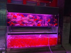 -华声天桥民俗文化园