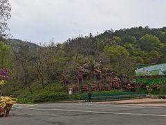 -木兰云雾山