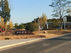 -金孔雀温泉旅游度假村