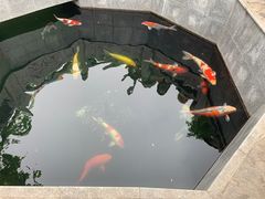 -西安市广仁寺