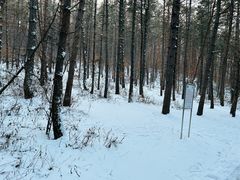 -帽儿山国家森林公园