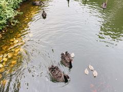 -长白岛森林公园