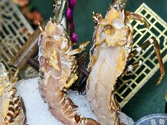 -喜聚薈·花膠雞海鮮火鍋(越秀店)