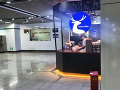 -上海港国际客运中心