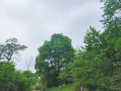 -陕西省红河谷森林公园