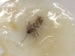 -南记食粥坊·宵夜大排档(岭南分店)
