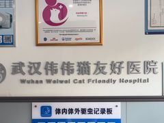 -伟伟宠物医院·瑞派猫友好医院·猫科(光谷店)
