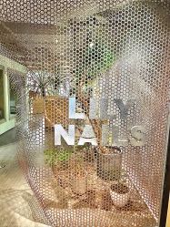 -LILY NAILS美甲美睫