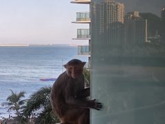 -三亚绿发山海天JW万豪酒店