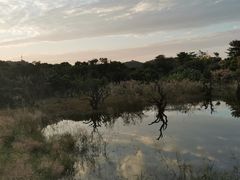 -鹤之洲湿地公园