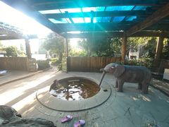 -华侨城阳宗海海景温泉