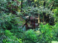 -飞霞风景名胜区