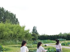 -池杉湖湿地公园