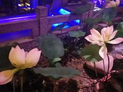 -韵秋荷(宝山龙湖天街店)