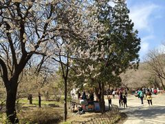 -北京西山国家森林公园