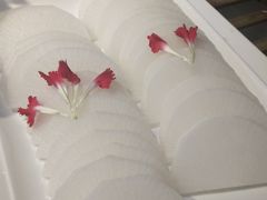-老诚一锅羊蝎子(黄寺大街店)