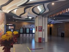 -卢米埃影城(长楹天街IMAX激光店)