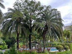 -三亚凤凰水城凯莱度假酒店