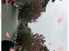 -荣县大佛
