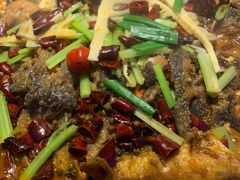 -老板恋上鱼(恒隆广场店)