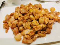 -丁老爷子苏香圆
