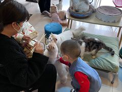 -平行世界·猫咖(首经贸店)