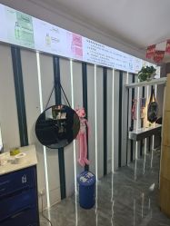 -东方美妍小鹏造型