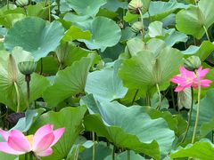 -南戴河国际娱乐中心