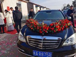 -蚂蚁婚车