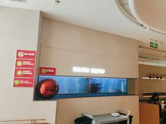 -老板恋上鱼(恒隆广场店)