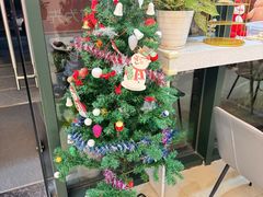 -土豆口腔(凤凰北总店)